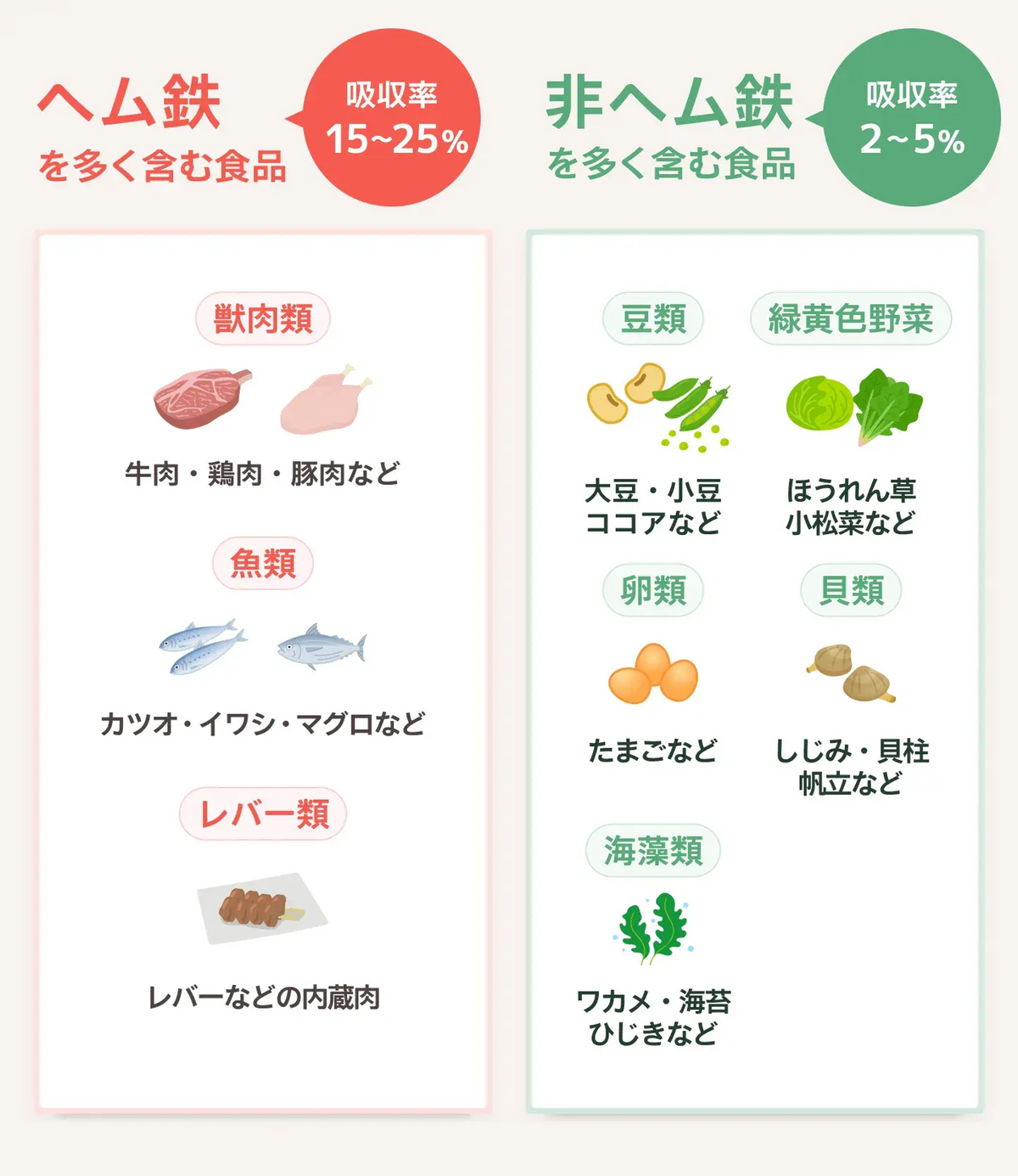 ヘム鉄と非ヘム鉄の違いと吸収率を比較した図解